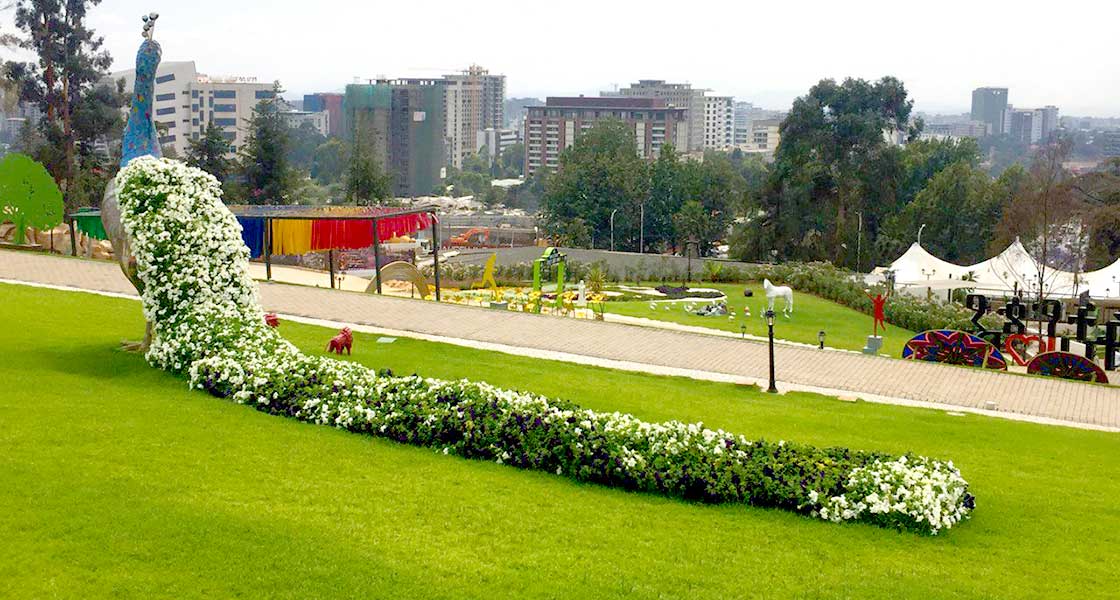 Addis Ababa Unity Park ECO ETHIOPIA